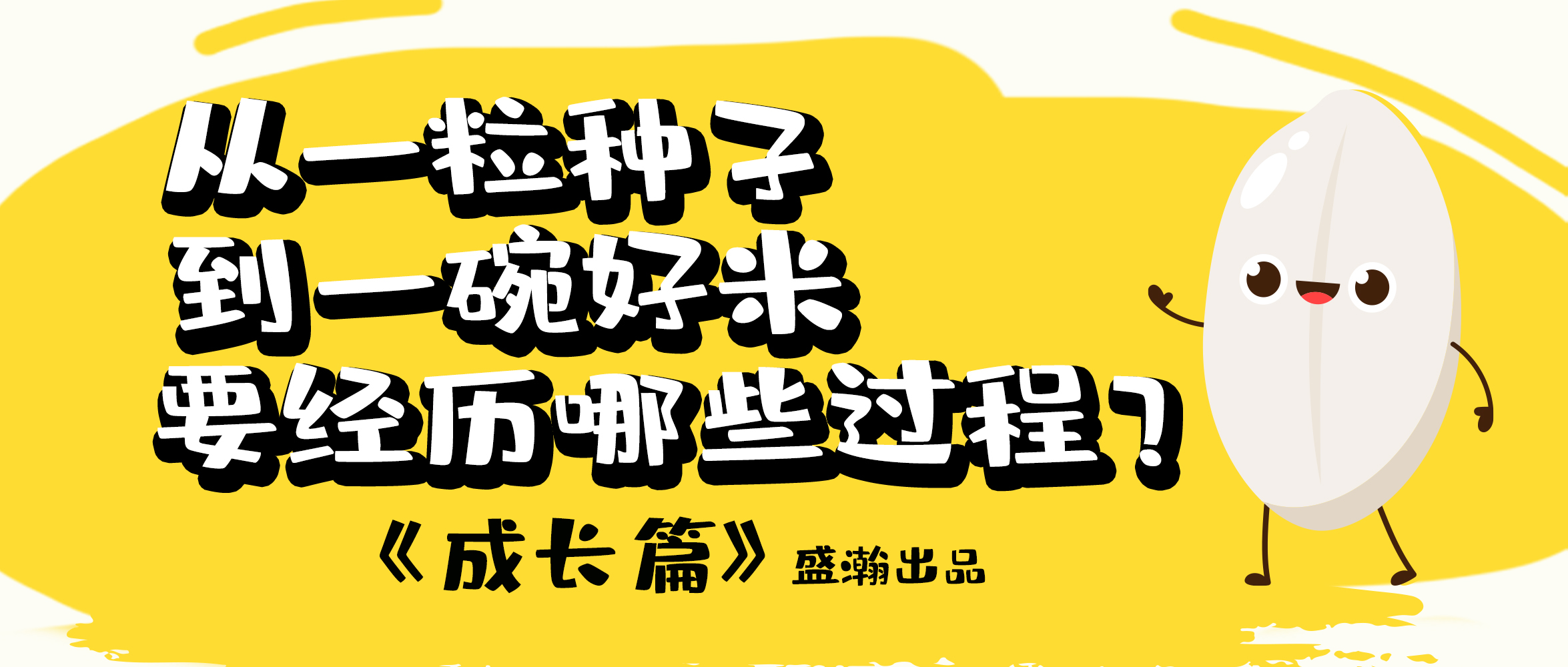 大米的一生-成長篇 | 從一粒種子到一碗好米要經(jīng)歷哪些過程？